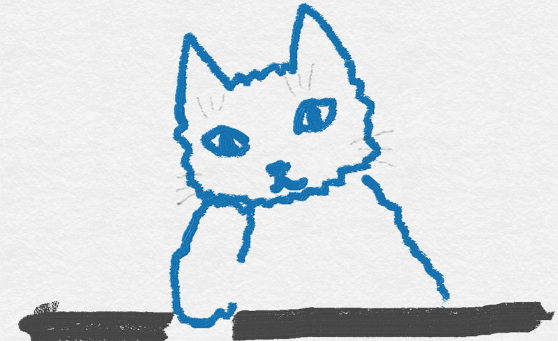 環境移行を考える黒猫